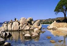 包含生死战世乒赛前瞻：浓眉伤情更新，金州勇士冲击不败纪录的词条